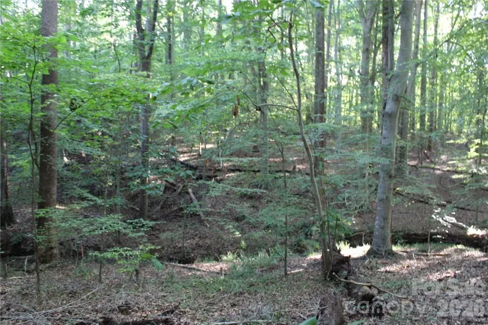 0 Hoover Road Troutman, NC 28166