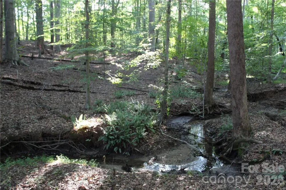 0 Hoover Road Troutman, NC 28166