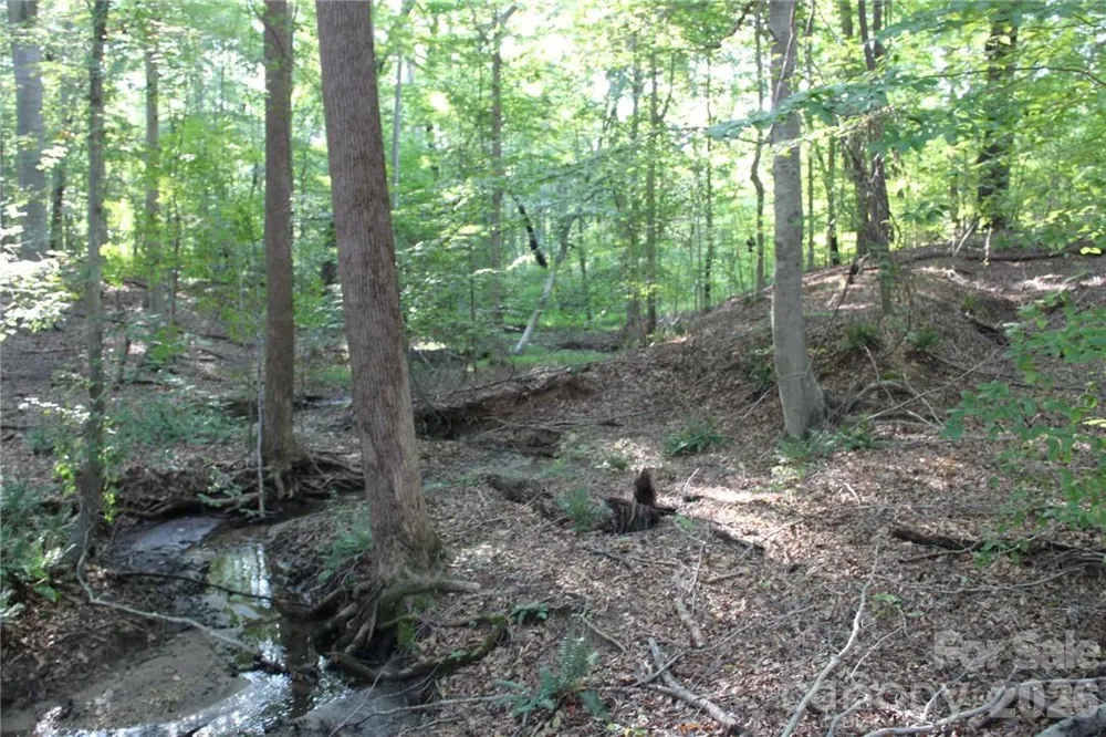 0 Hoover Road Troutman, NC 28166