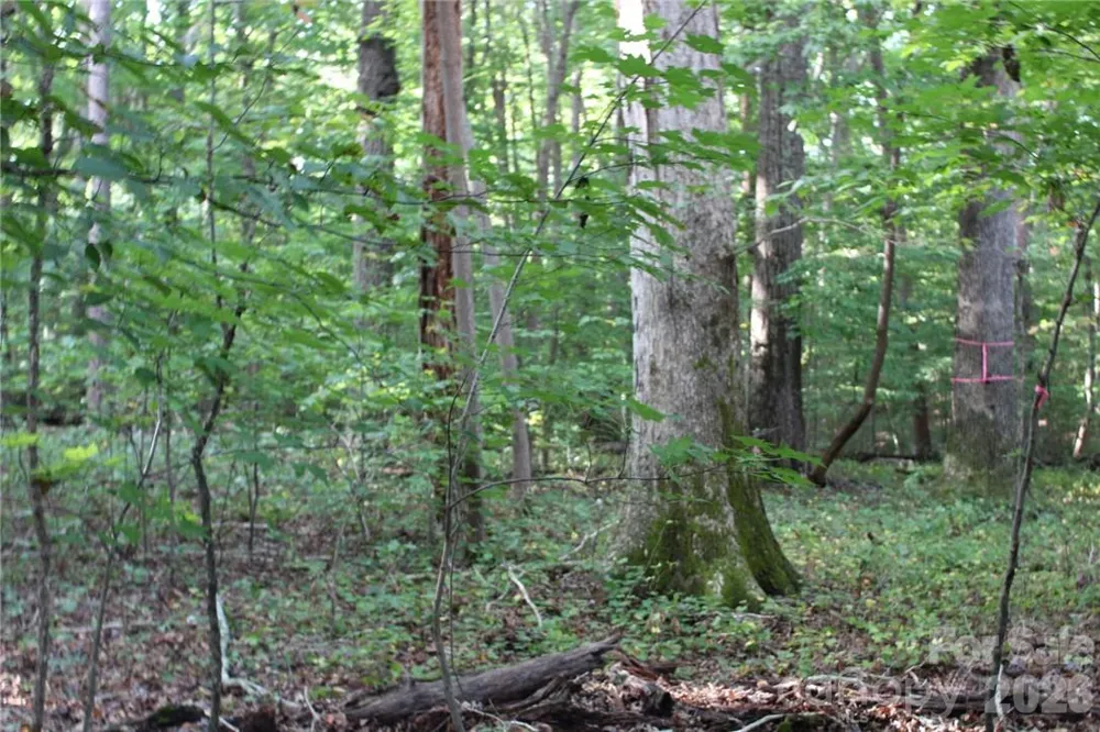 0 Hoover Road Troutman, NC 28166