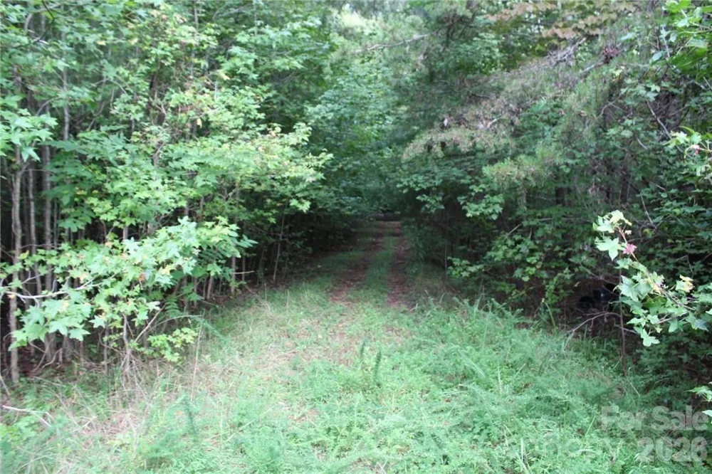 0 Hoover Road Troutman, NC 28166