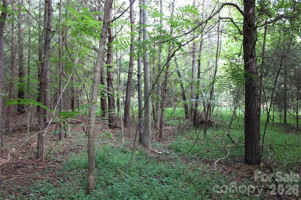0 Hoover Road Troutman, NC 28166