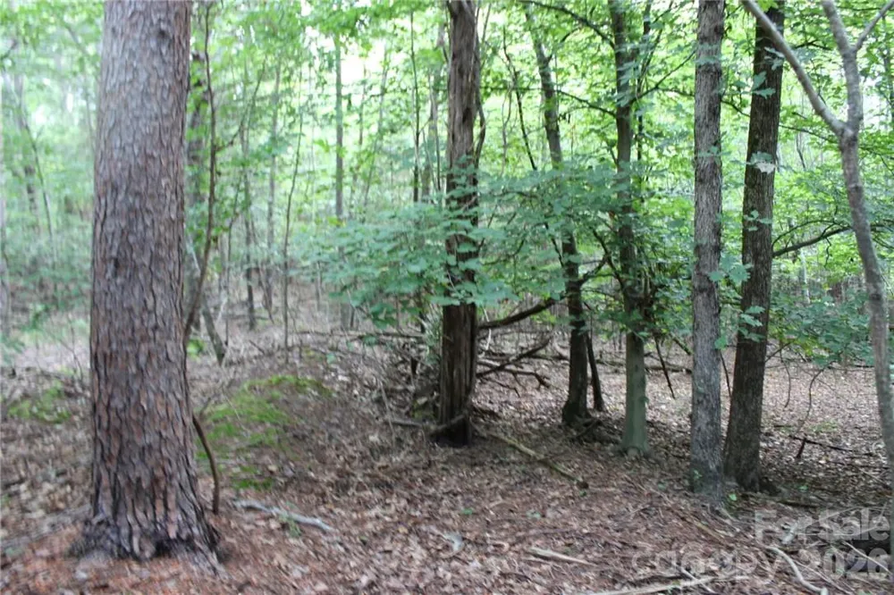 0 Hoover Road Troutman, NC 28166