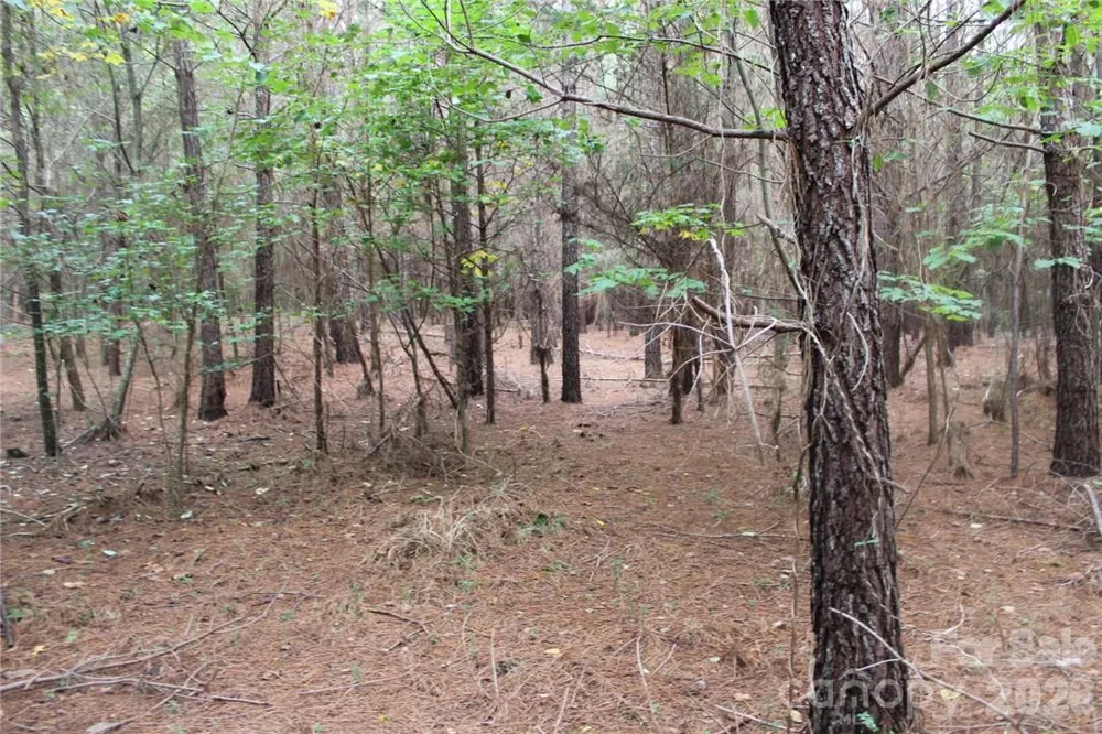 0 Hoover Road Troutman, NC 28166