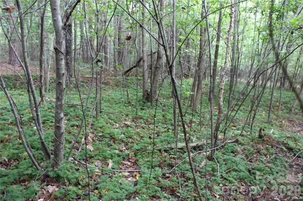 0 Hoover Road Troutman, NC 28166