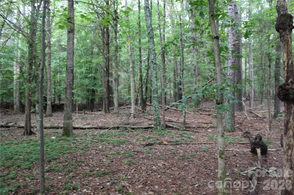 0 Hoover Road Troutman, NC 28166