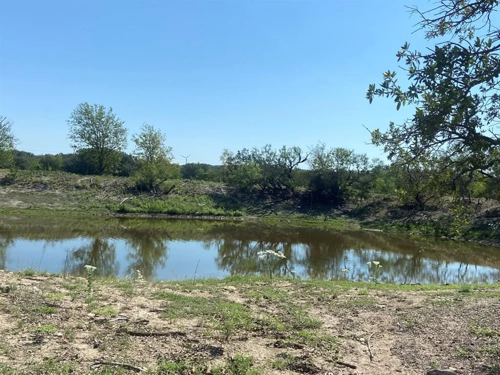 State Highway 16 S Goldthwaite, TX 76844