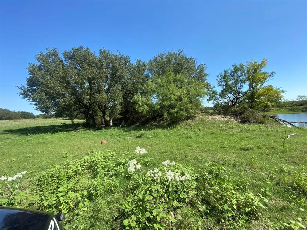 State Highway 16 S Goldthwaite, TX 76844