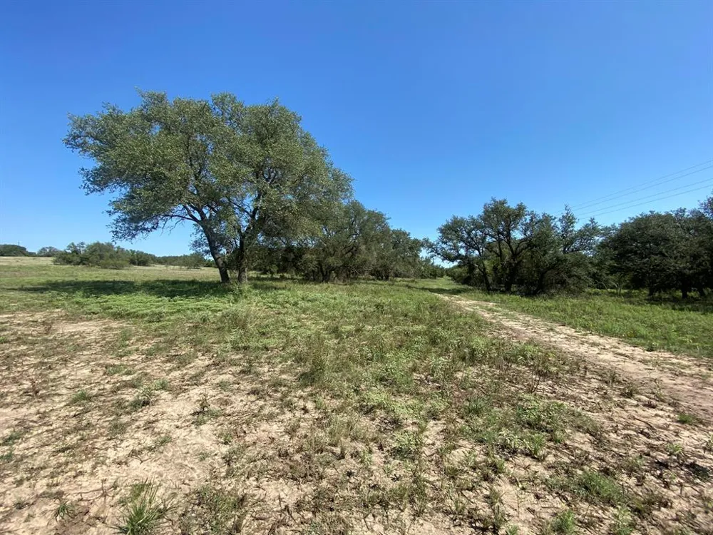 State Highway 16 S Goldthwaite, TX 76844