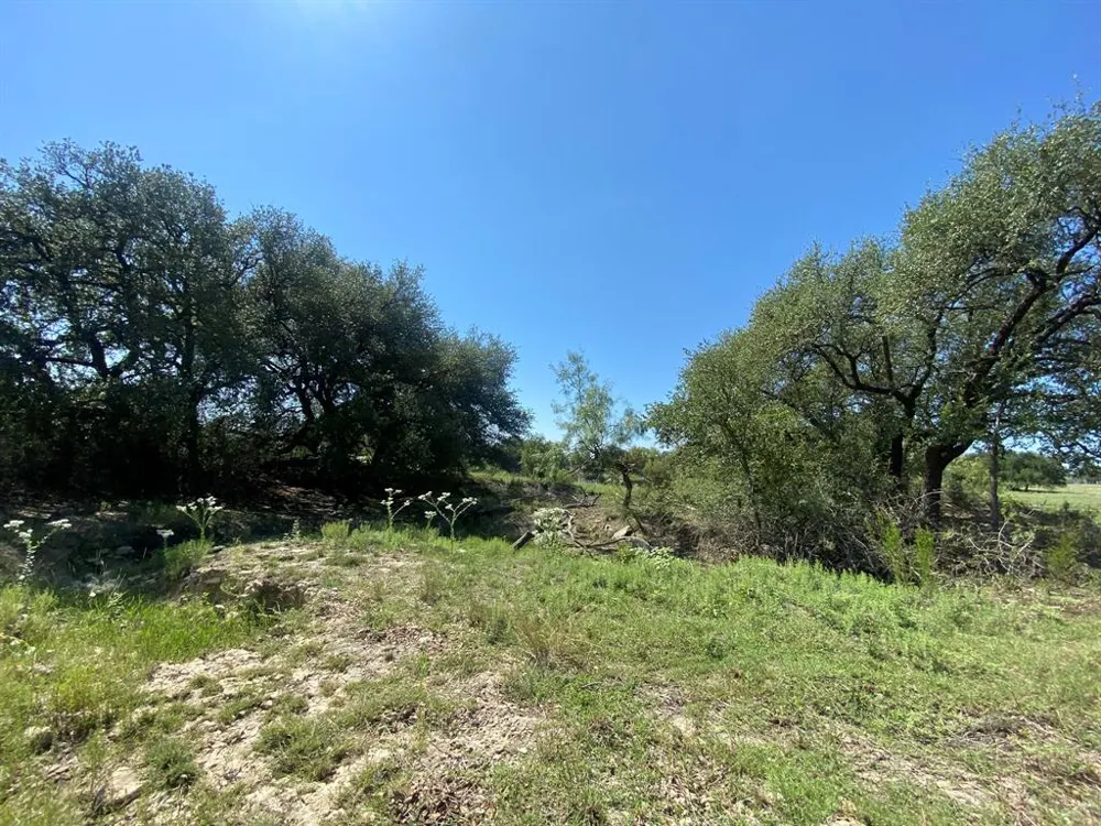 State Highway 16 S Goldthwaite, TX 76844