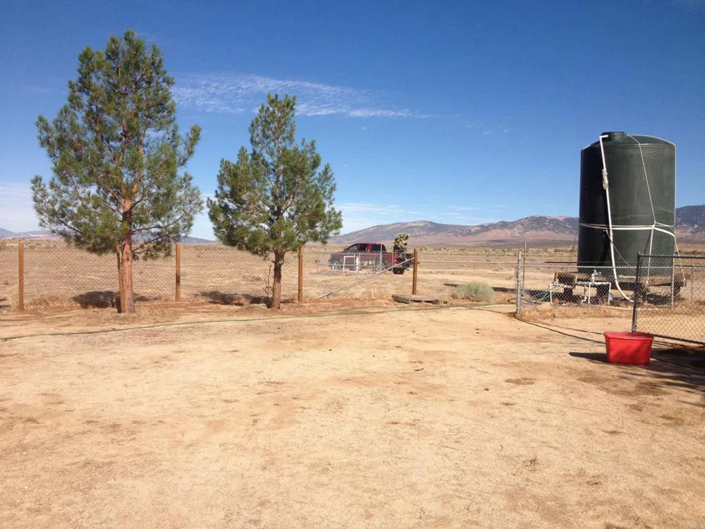 230th St. Rosamond, CA 93560