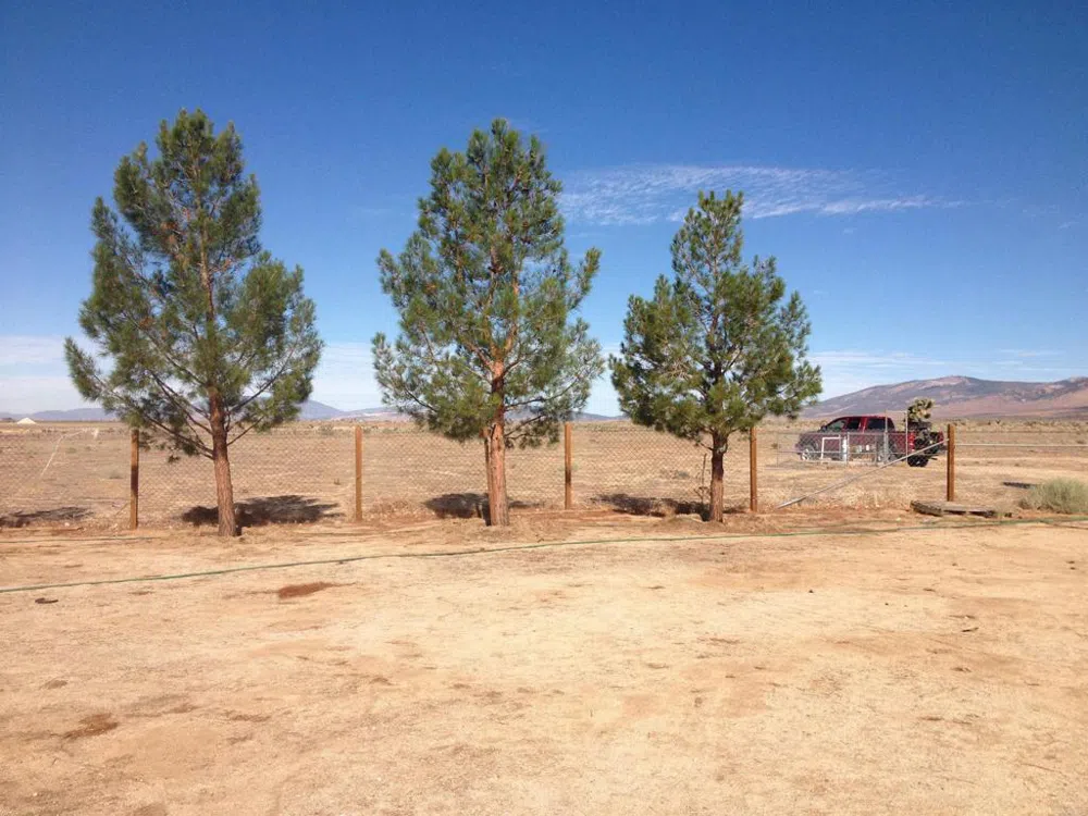 230th St. Rosamond, CA 93560