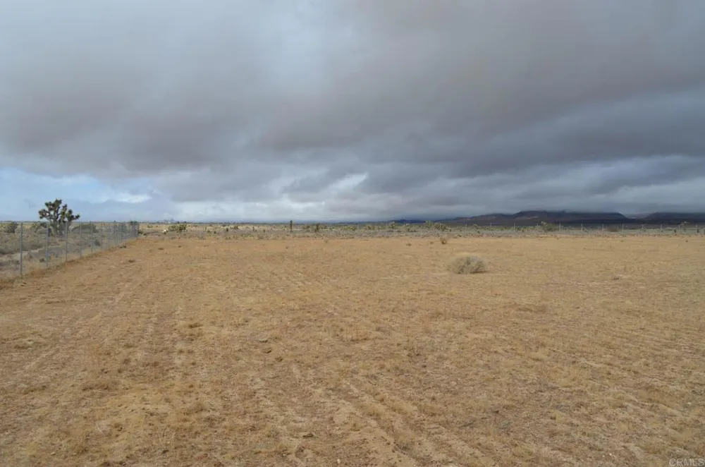 230th St. Rosamond, CA 93560