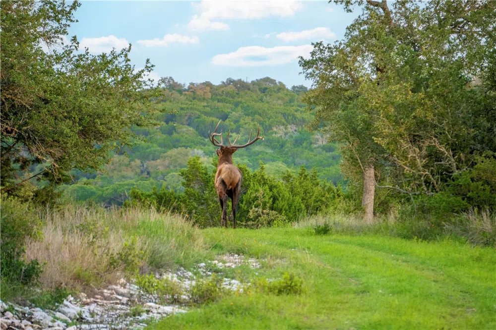 901 High Mountain Road Burnet, TX 78611