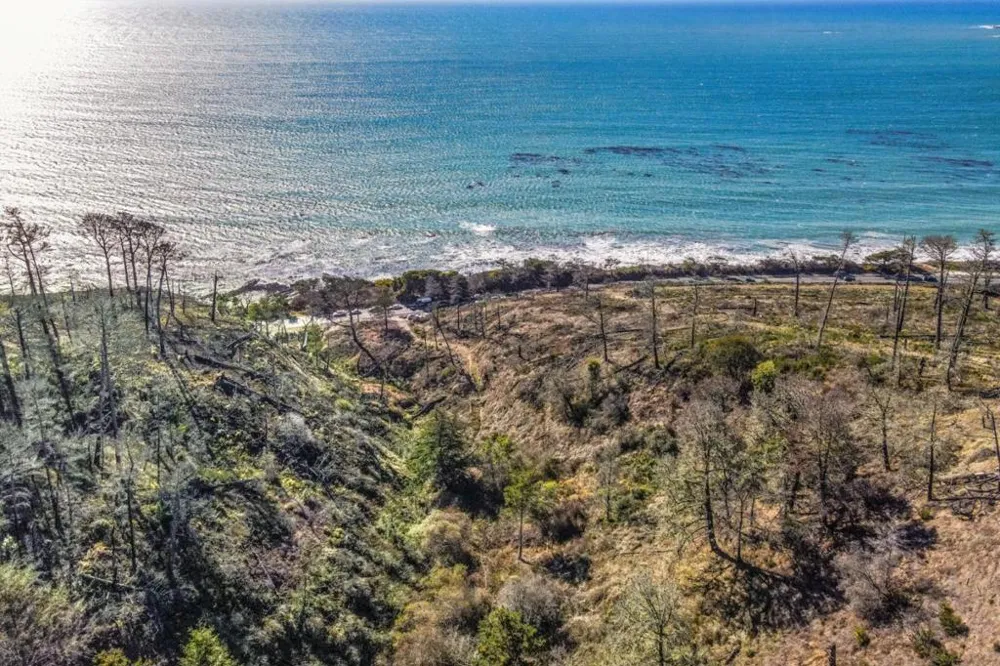 3744 Hwy 1 Davenport, CA 95017