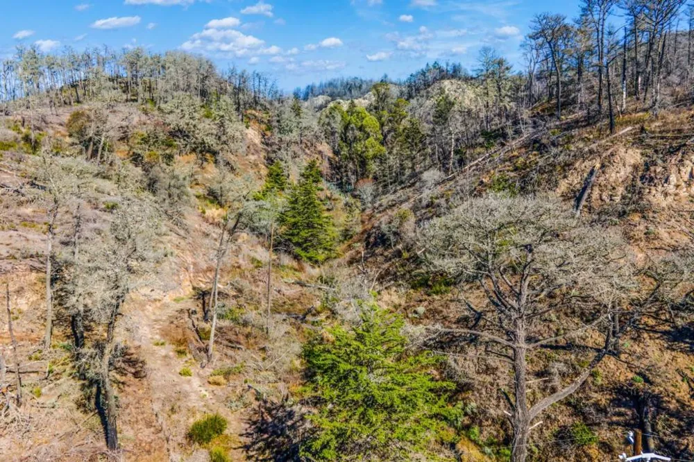 3744 Hwy 1 Davenport, CA 95017