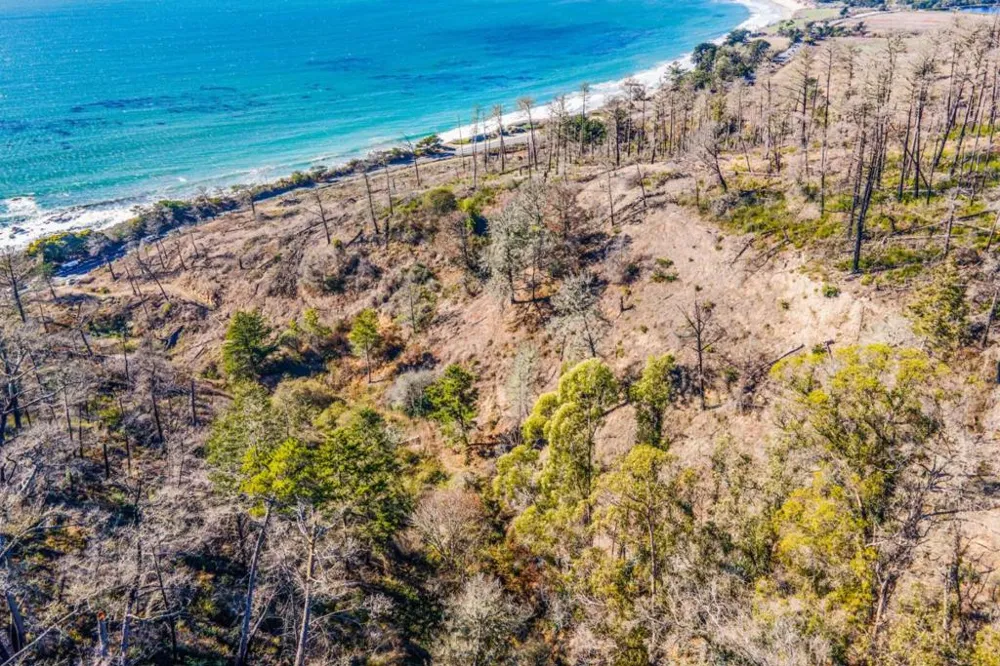 3744 Hwy 1 Davenport, CA 95017