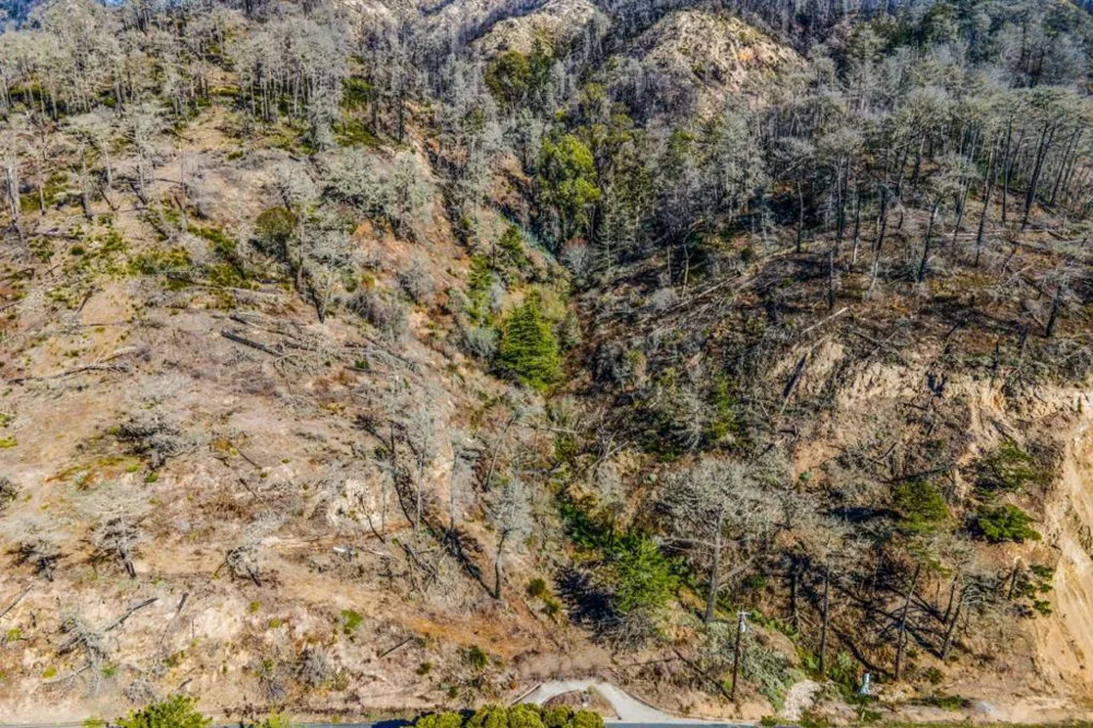 3744 Hwy 1 Davenport, CA 95017