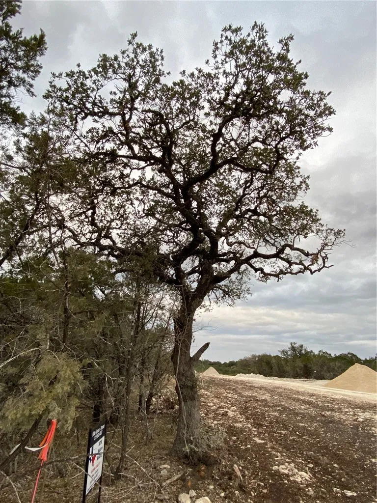 1007 Pristine Trail Canyon Lake, TX 78133