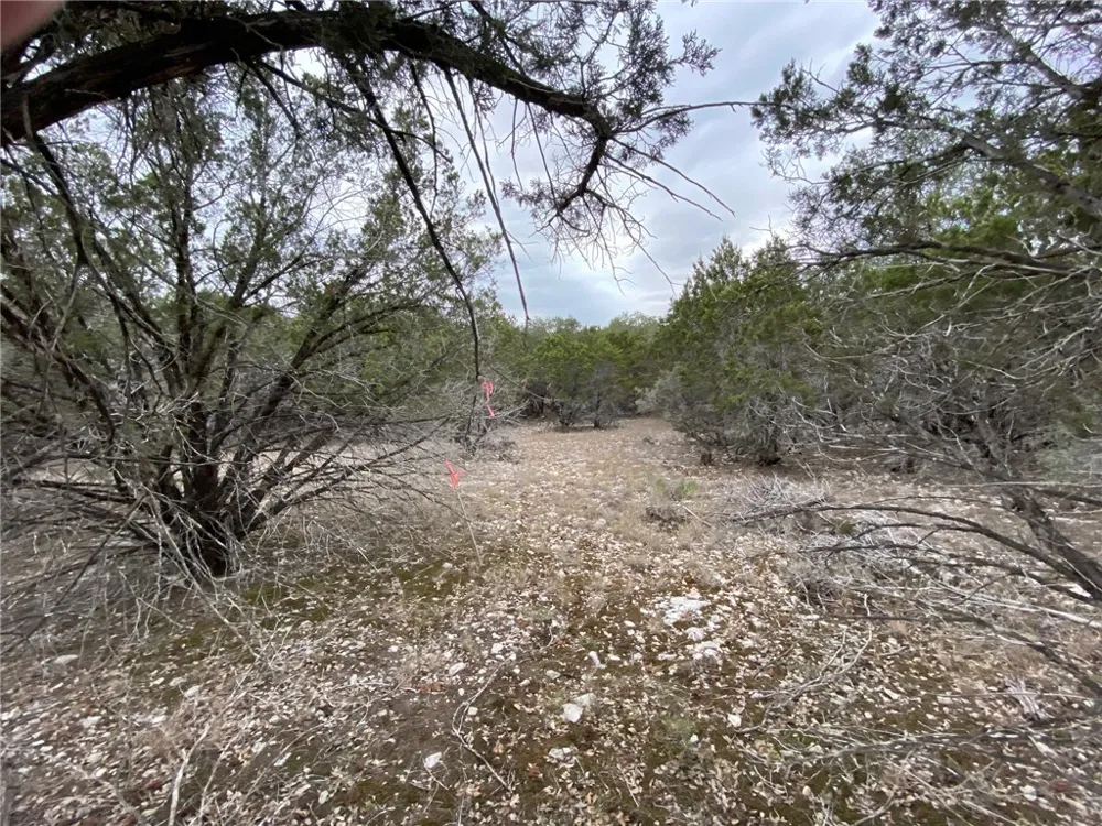 1007 Pristine Trail Canyon Lake, TX 78133