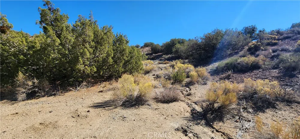 Charro Ct. Tehachapi, CA 93561