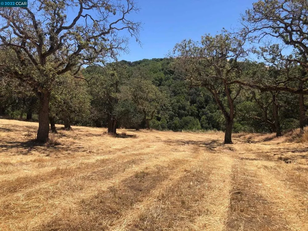 5433 Alhambra Valley Rd Martinez, CA 94553