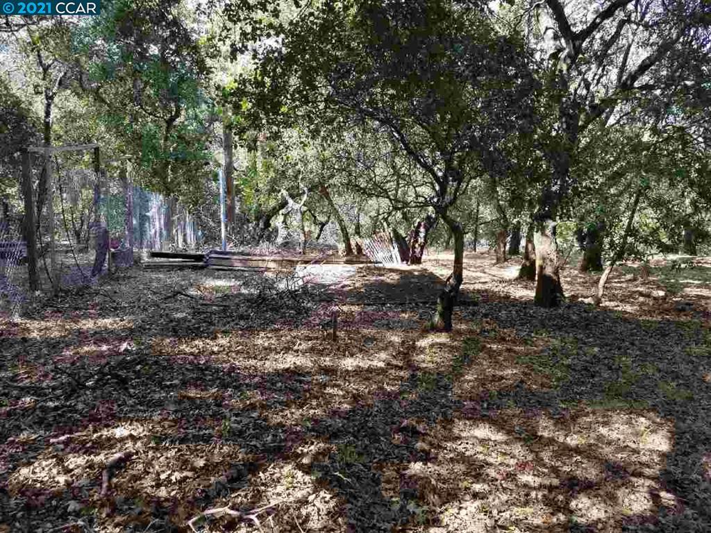 1424 Rockville Rd Fairfield, CA 94534