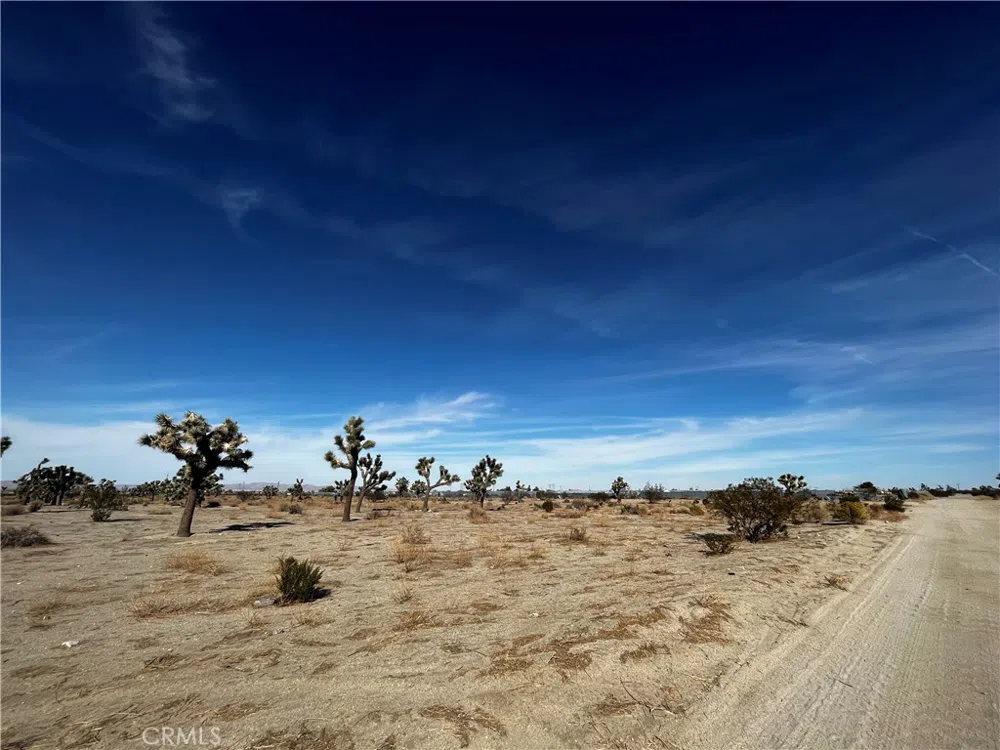 Arcadia Pinon Hills, CA 92372