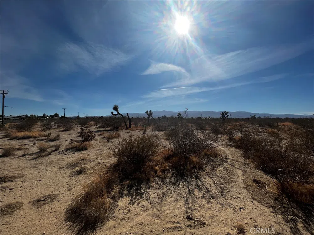 Ailanthus St Phelan, CA 92371