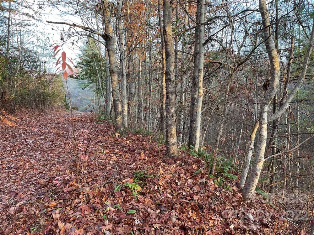 Lot 43 Kimiko Lane Balsam Grove, NC 28708
