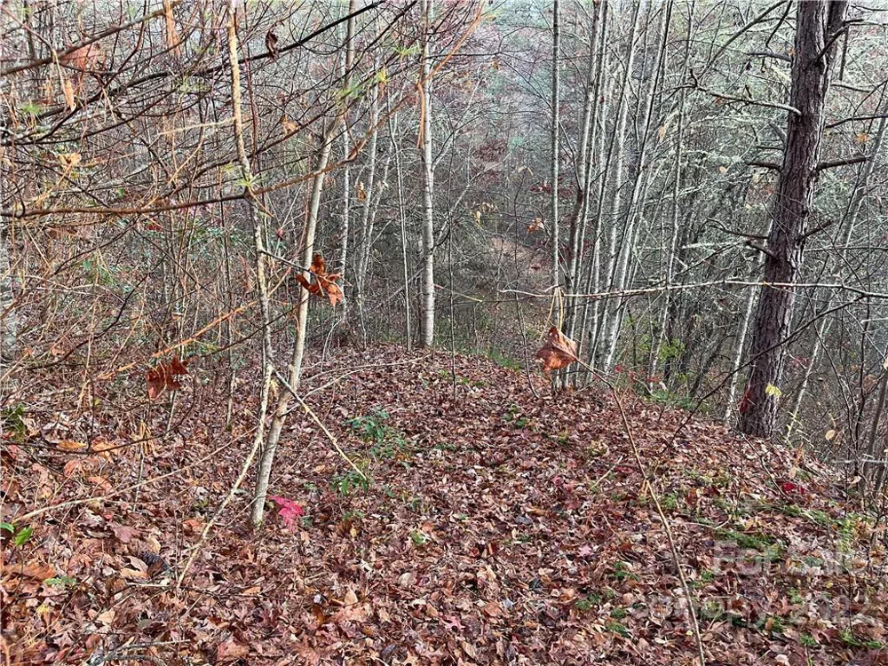 Lot 43 Kimiko Lane Balsam Grove, NC 28708