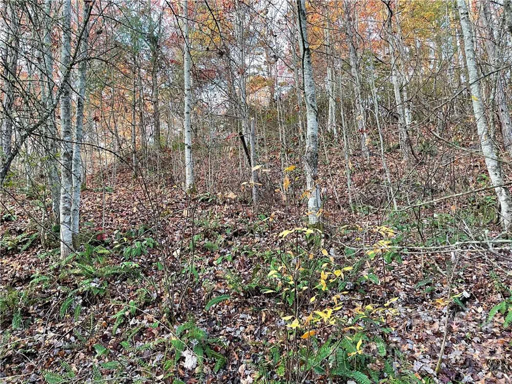 Lot 43 Kimiko Lane Balsam Grove, NC 28708
