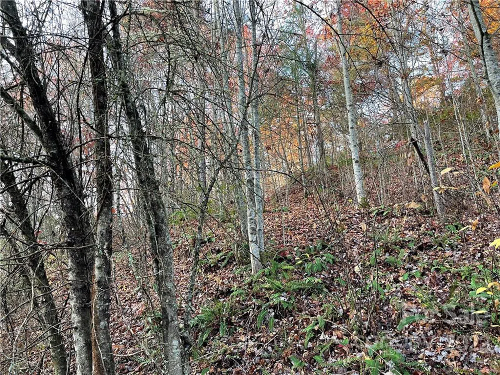 Lot 43 Kimiko Lane Balsam Grove, NC 28708
