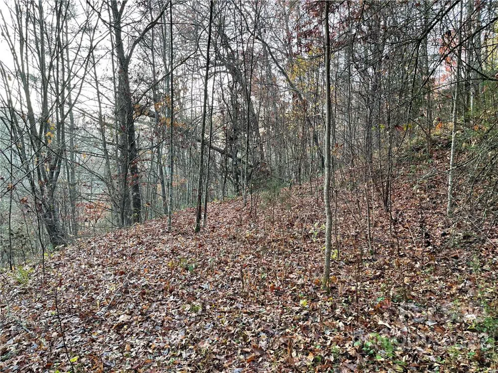 Lot 43 Kimiko Lane Balsam Grove, NC 28708