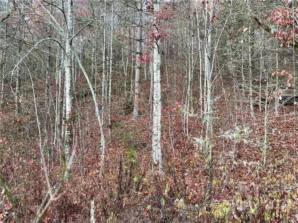 Lot 43 Kimiko Lane Balsam Grove, NC 28708