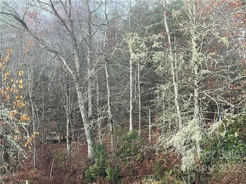 Lot 43 Kimiko Lane Balsam Grove, NC 28708
