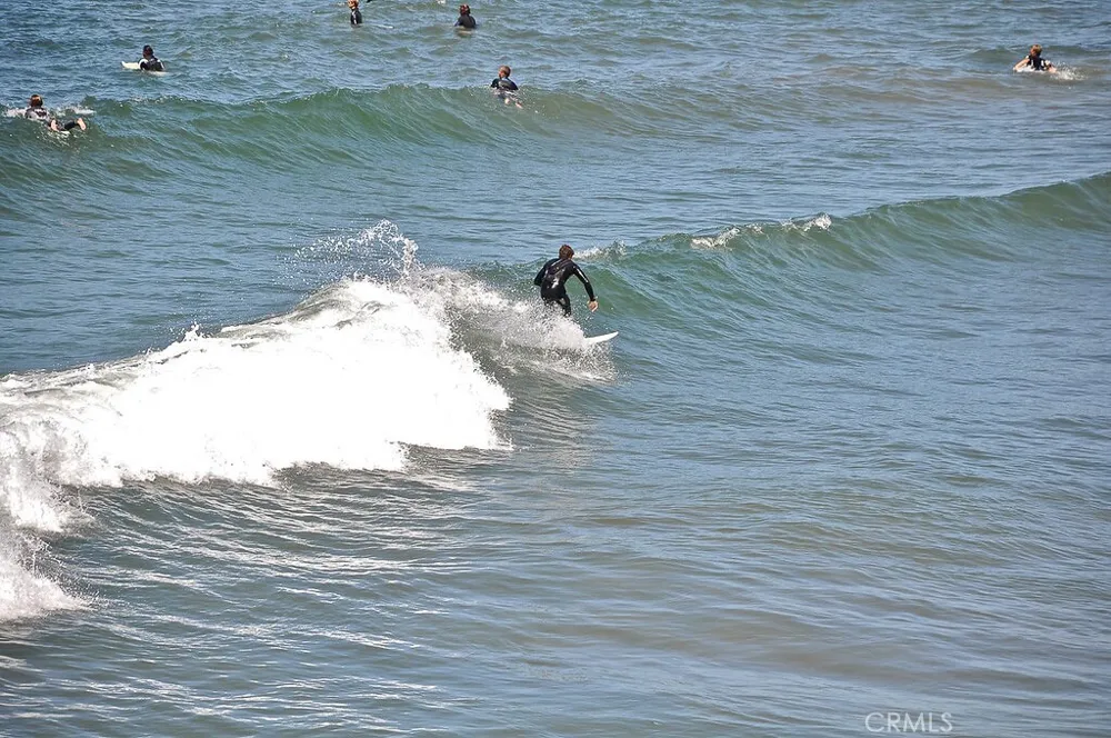 3319 Doheny Way Dana Point, CA 92629