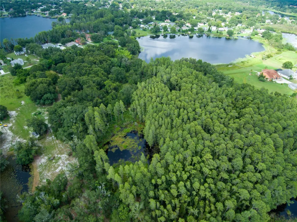 CARSON DRIVE Land O Lakes, FL 34639