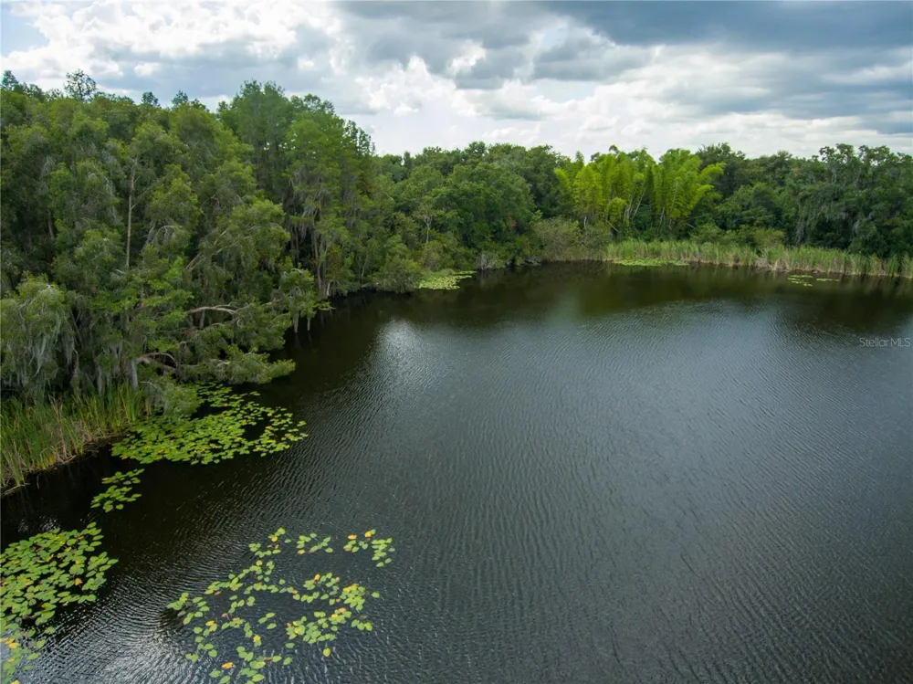 CARSON DRIVE Land O Lakes, FL 34639