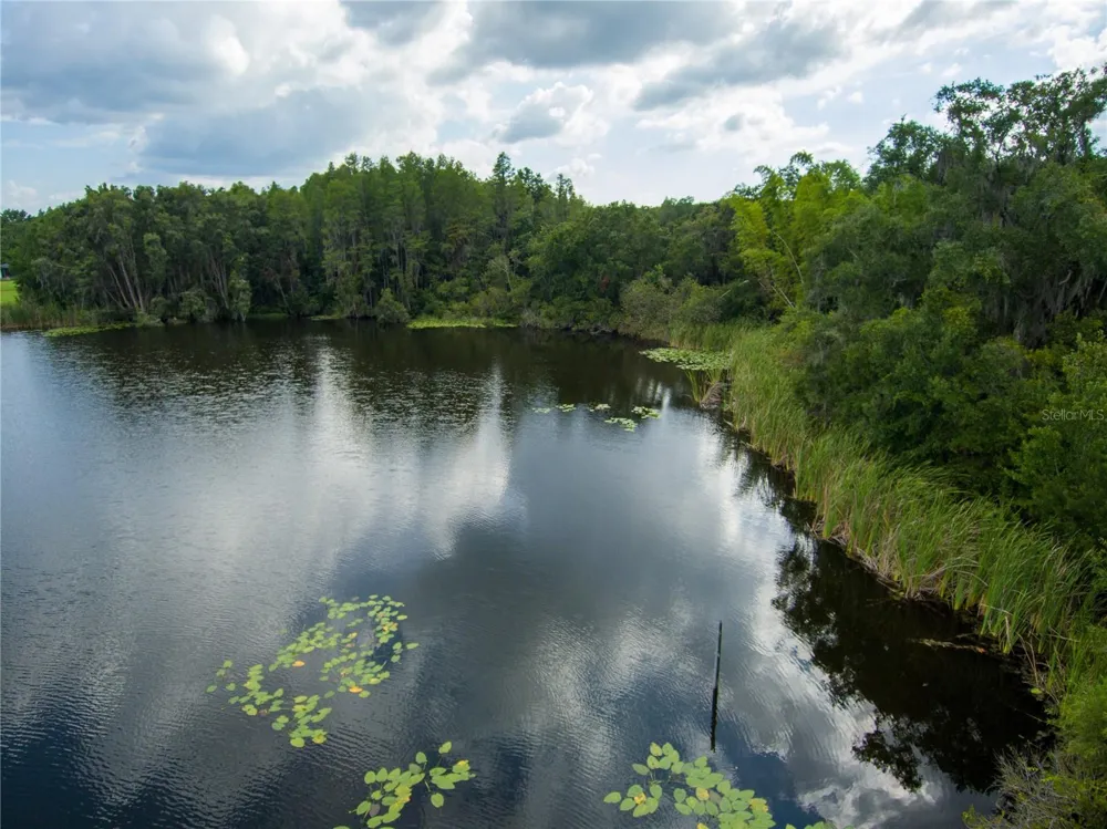 CARSON DRIVE Land O Lakes, FL 34639