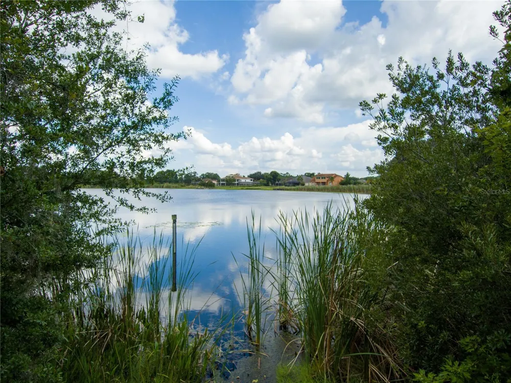 CARSON DRIVE Land O Lakes, FL 34639
