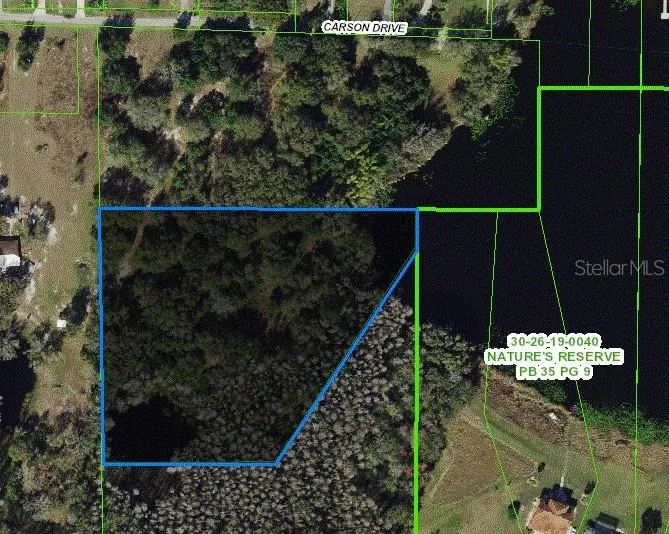 CARSON DRIVE Land O Lakes, FL 34639