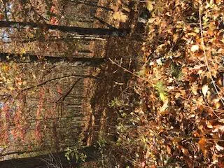 TBD Ridge RD Road