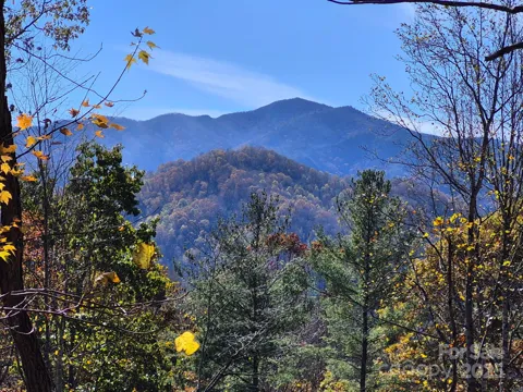 0 Alpine Ridge #D-11