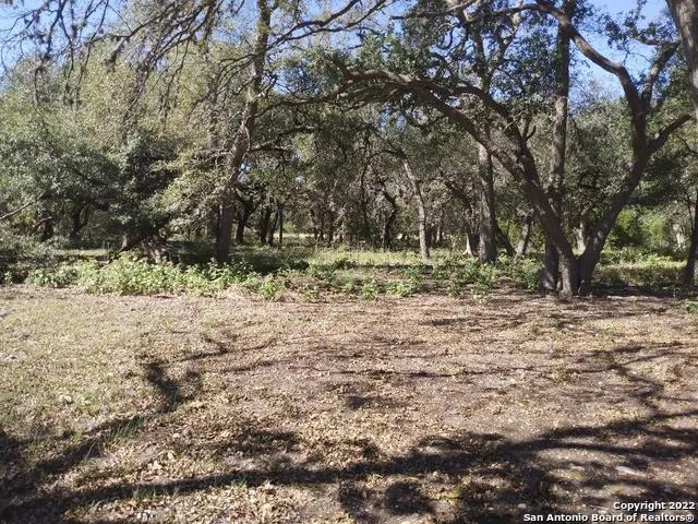 2682 Hwy 336 Leakey, TX 78873