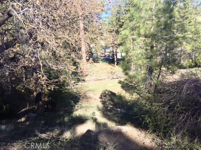 Talmadge Big Bear, CA 92315