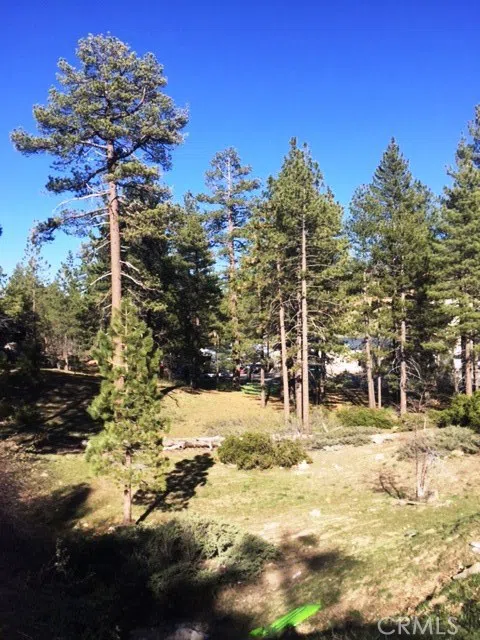 Talmadge Big Bear, CA 92315