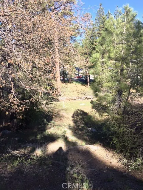 Talmadge Big Bear, CA 92315