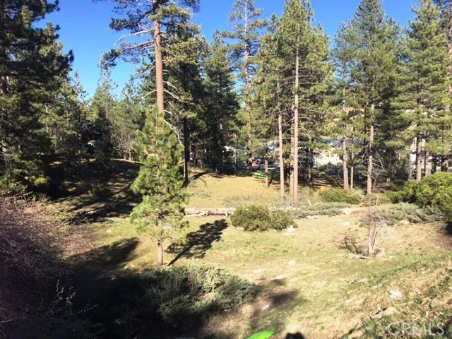Talmadge Big Bear, CA 92315