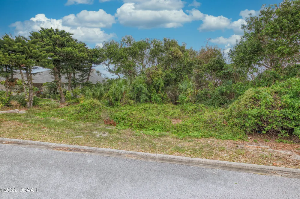 62 Buschman Drive Ponce Inlet, FL 32127